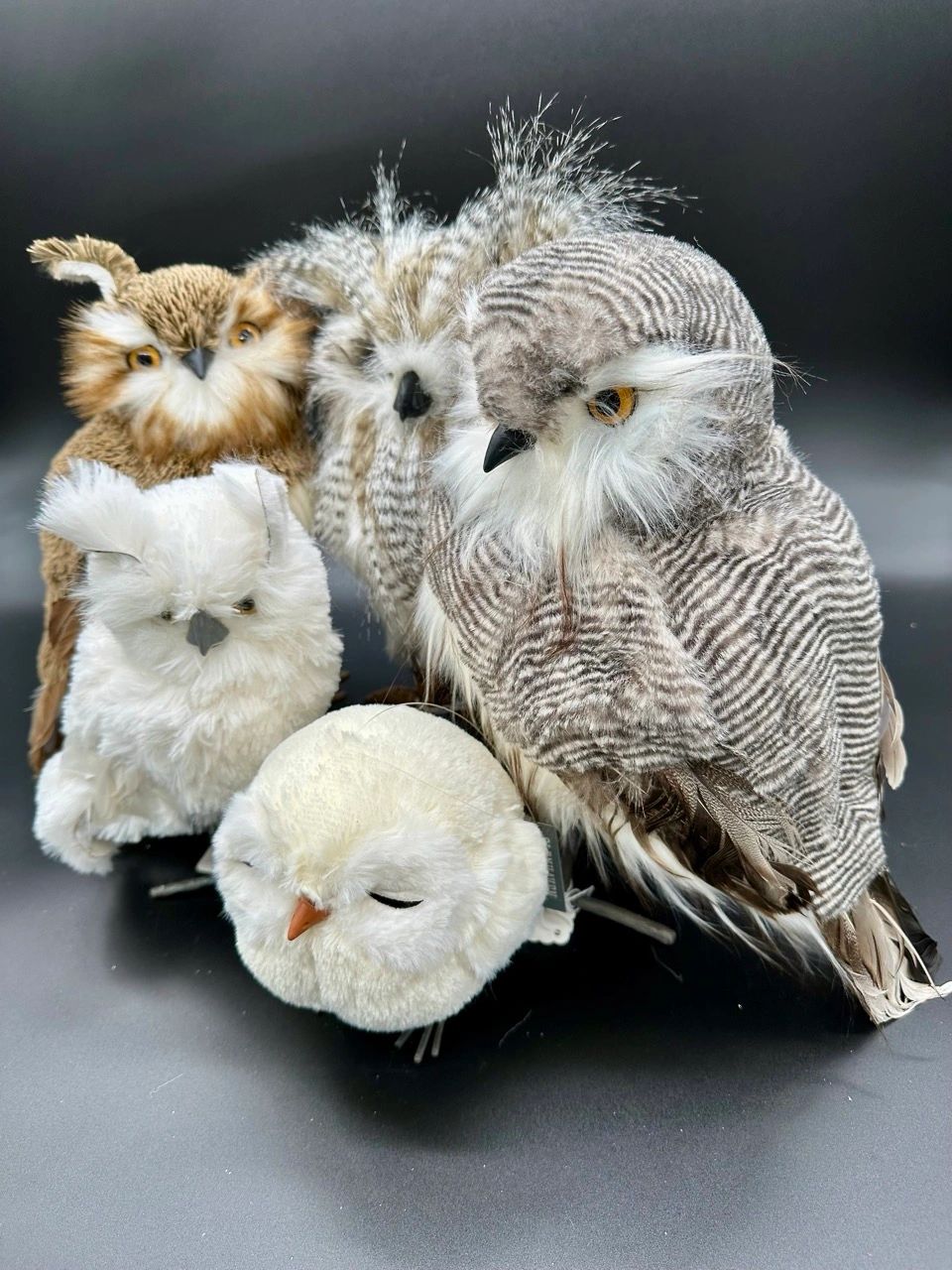 A Parliament of Winter Owls at Pollyanna’s Antiques